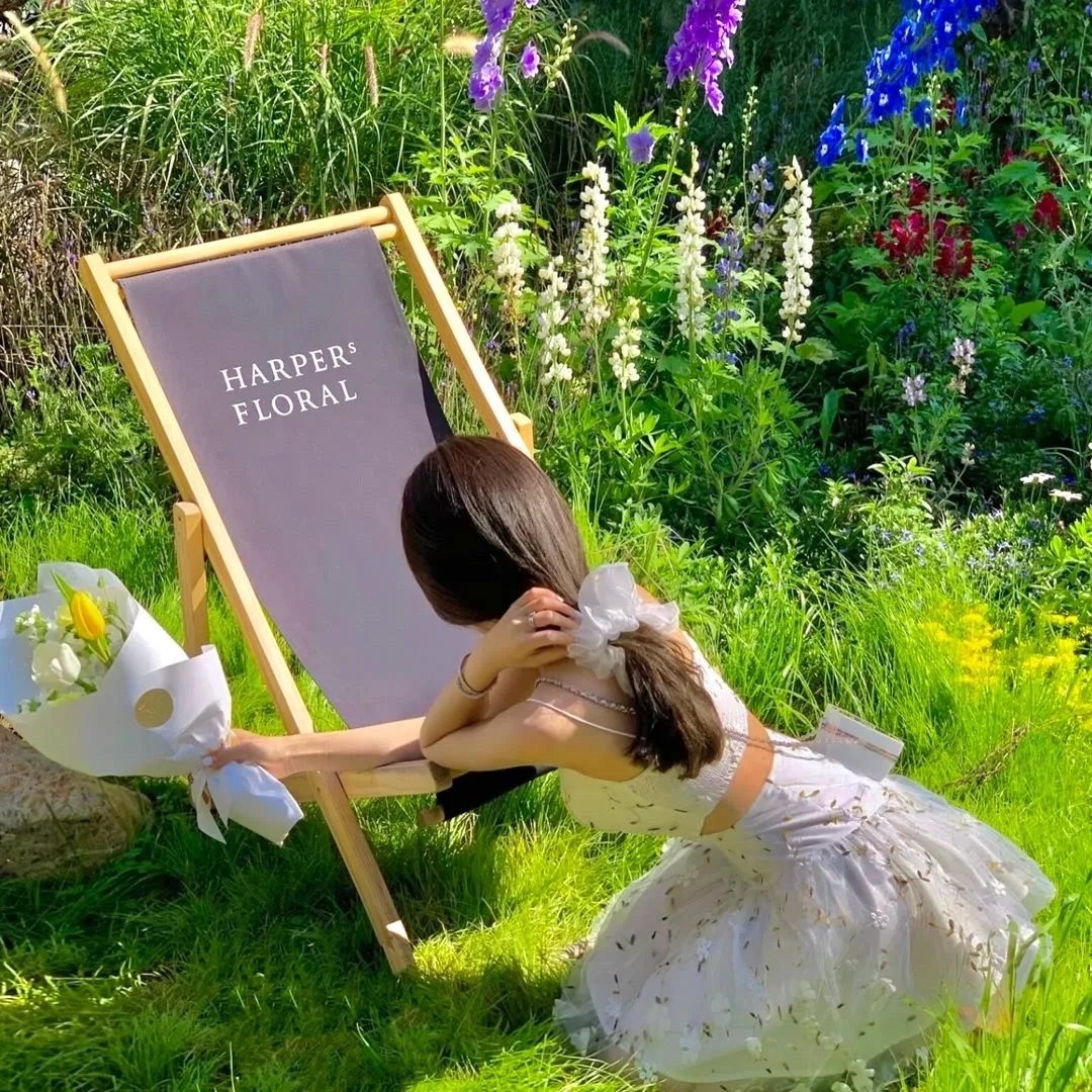 百里挑一遇春风